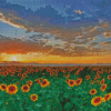 Sunflowers Field Italy Tuscany Diamond Painting