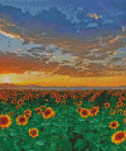 Sunflowers Field Italy Tuscany Diamond Painting