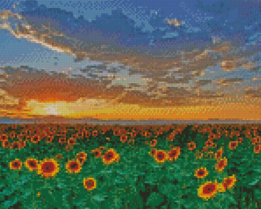 Sunflowers Field Italy Tuscany Diamond Painting