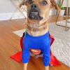 Superman Pugwawa Dog Diamond Painting