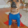 Superman Pugwawa Dog Diamond Painting