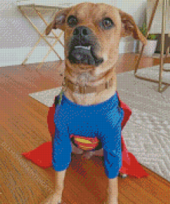 Superman Pugwawa Dog Diamond Painting