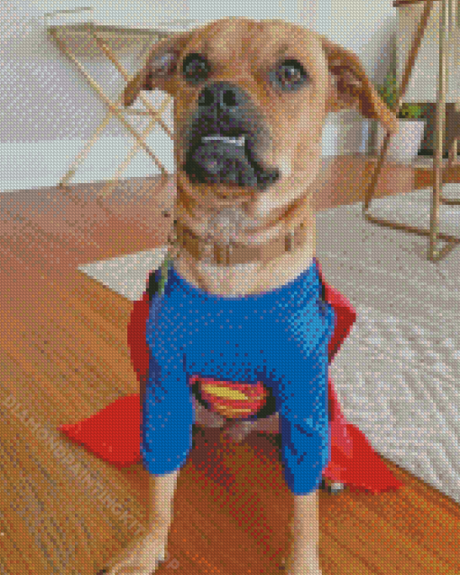 Superman Pugwawa Dog Diamond Painting