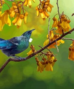 Tui Bird In Kowhai Tree Diamond Painting