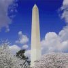 Washington Monument In Spring Diamond Painting