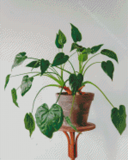 Alocasia Pot Plant Diamond Painting