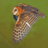 Barn Owl Wings Diamond Painting