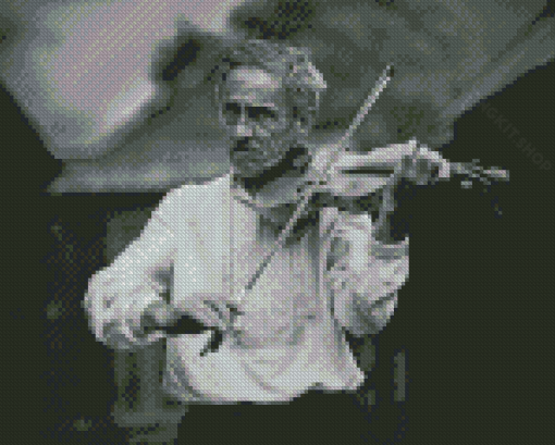 Black And White Old Man Posing Violin Diamond Painting