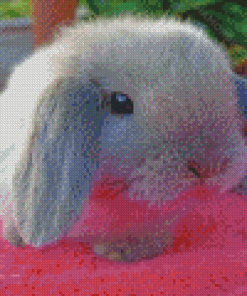 Grey Cute Baby Bunnies Diamond Painting