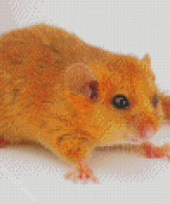 Little Dormouse Animal Diamond Painting