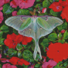 Lunar Moth And Flowers Diamond Painting