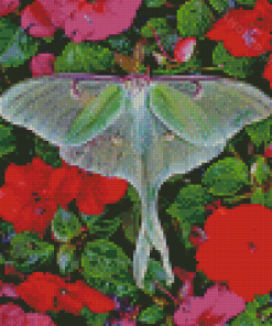 Lunar Moth And Flowers Diamond Painting