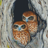 Ninoxe Boobook Birds Couple Diamond Painting