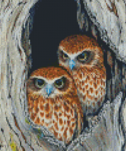 Ninoxe Boobook Birds Couple Diamond Painting