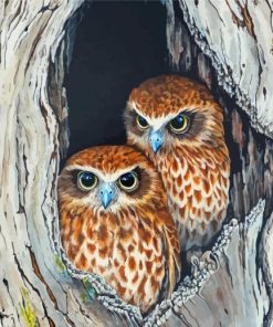 Ninoxe Boobook Birds Couple Diamond Painting