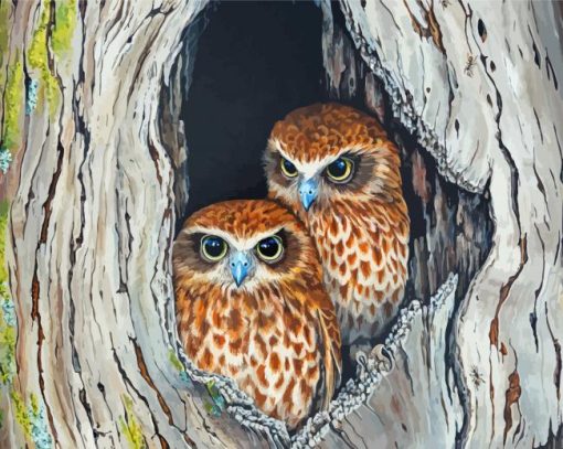 Ninoxe Boobook Birds Couple Diamond Painting