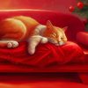 Sleepy Xmas Cat Diamond Painting