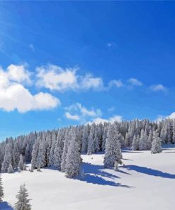 Sun Over The Snowy Forest Diamond Painting