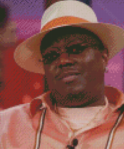 The American Actor Bernie Mac Diamond Painting