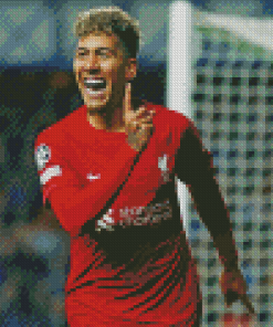 The Football Player Roberto Firmino Diamond Painting