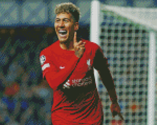 The Football Player Roberto Firmino Diamond Painting