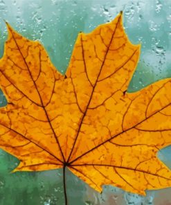 Yellow Maple In The Rain Diamond Painting