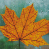 Yellow Maple In The Rain Diamond Painting