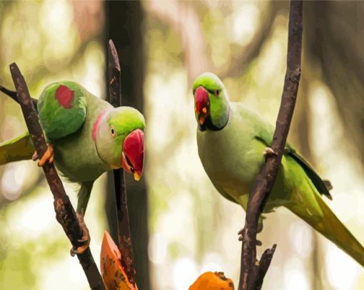 Alexandrine Parakeet Birds Diamond Painting