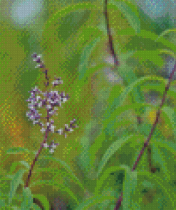 Aloysia Flowers Diamond Painting