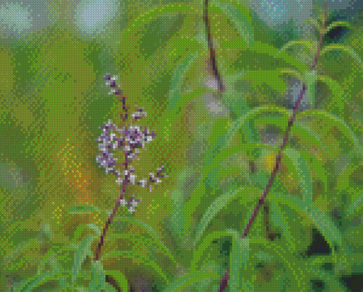 Aloysia Flowers Diamond Painting