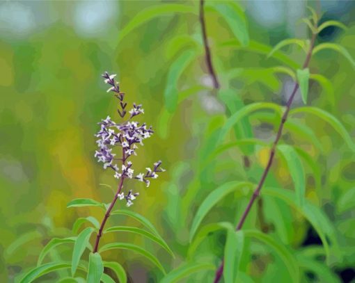 Aloysia Flowers Diamond Painting