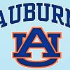 Auburn University Logo Diamond Painting