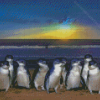 Australian Fairy Penguin Birds Diamond Painting