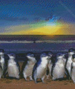 Australian Fairy Penguin Birds Diamond Painting