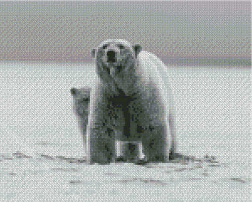 Black And White Mom And Baby Bear Wildlife Diamond Painting