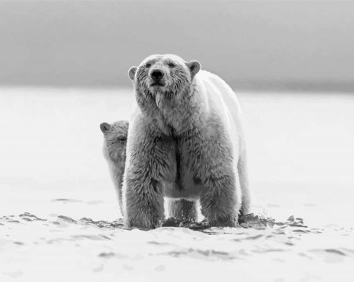 Black And White Mom And Baby Bear Wildlife Diamond Painting