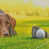 Brown Golf Dog Diamond Painting