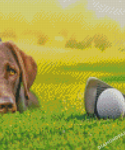 Brown Golf Dog Diamond Painting