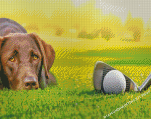 Brown Golf Dog Diamond Painting