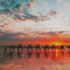 Camels At Broome Beach With Sunset View Diamond Painting