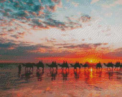 Camels At Broome Beach With Sunset View Diamond Painting