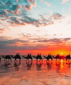 Camels At Broome Beach With Sunset View Diamond Painting