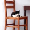 Cat On Chair Diamond Painting