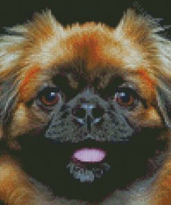 Close Up Pekingese Dog Diamond Painting