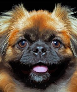 Close Up Pekingese Dog Diamond Painting