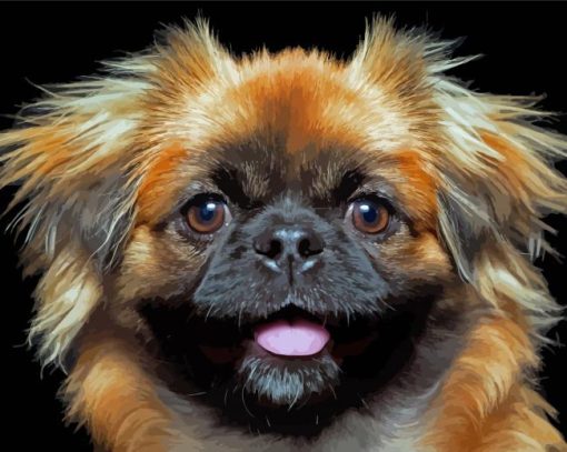 Close Up Pekingese Dog Diamond Painting