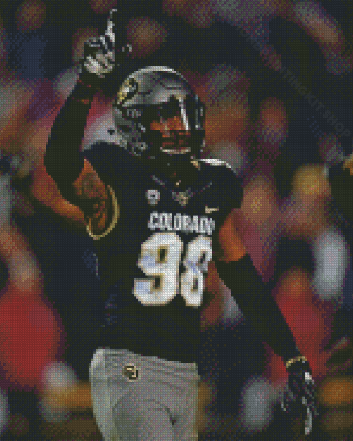 Colorado Buffaloes Player Diamond Painting