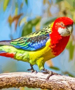 Colorful Eastern Rosella Diamond Painting