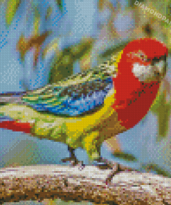 Colorful Eastern Rosella Diamond Painting