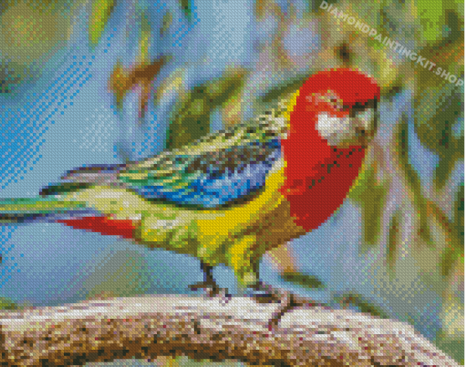 Colorful Eastern Rosella Diamond Painting